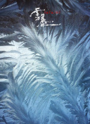 与朋友一起征战魔法王国：多人模式攻略